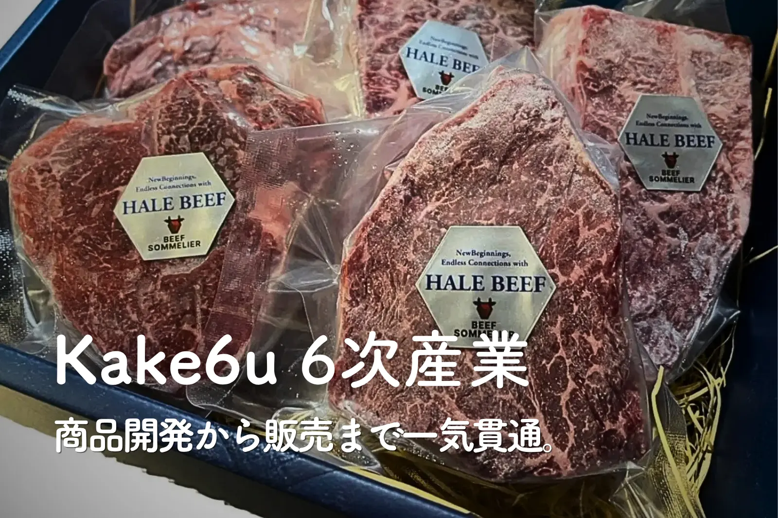 Kake6u ６次産業（準備中） — 商品開発から販売まで一気貫通。